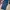 TRACKPANTS NIKE SMALL SWOOSH CELANA PARASUT OLAHRAGA photo 2