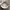 coorslight nascar cap racing 40 photo 8