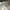 coorslight nascar cap racing 40 photo 7