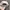 coorslight nascar cap racing 40 photo 6