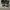 Nike air jordan 1 high chameleon photo 3