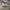 Nike air jordan 1 high chameleon photo 4