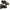 Sepatu kulit score of scoot  photo 1