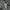 polo shirt BURBERRY london authentic photo 8