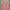 coral pink lace ruffle detailed camisole adjustable straps photo 5
