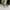 Kenzo optical glasses - F KZ 502111 057 52 photo 3