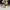 Kenzo optical glasses - F KZ 502111 057 52 photo 4