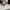 Kenzo optical glasses - F KZ 502111 057 52 photo 2