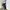 Grunge black jeans y2k straight fit photo 1