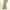 Asster Celana Chino Pants Khakis Cream Reguler Fit photo 4