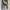 Timberland Casual Boots Pria brown photo 6