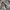 Gorpcore Jacket Nike ACG photo 4