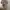 Dress Burkat Willmich 
