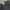Zara blackjeans snow full button straight fit photo 6