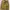 Hoodie Zipper Adidas Camo
