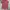 The North Face Streetwear Casual T-shirt Pria red photo 1