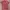 The North Face Streetwear Casual T-shirt Pria red photo 3