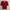 One-K RED Knit Shirt  photo 1