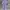 Polo Ralph Lauren Luxury Formal Shirt Pria Purple