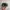 Vintage hat washed green Desjardins photo 3