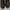 Timberland Boots Fullblack photo 2