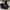 Timberland Boots Fullblack photo 1