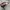 PUMA SPEEDCAT  photo 4