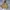 Hoodie canvas active jacket fieldcore revesible photo 1