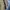 Hoodie canvas active jacket fieldcore revesible photo 4
