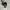 New Balance Sportswear Sneakers Pria white blue photo 3