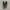 Boots photo 3