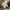 Kevas Hardwoods Jungle Cargo Pants photo 5