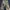 Kevas Hardwoods Jungle Cargo Pants photo 7