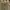 Vans Streetwear Skater Sneakers Pria white black photo 1