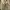 Vans Streetwear Skater Sneakers Pria white black photo 2