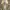 Vans Streetwear Skater Sneakers Pria white black photo 3