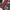 VINTAGE CHRISTMAS CARDIGAN – PATCH PANEL STYLE photo 5