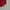 Kaos Diamond Supply Arabic Font photo 2