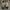 Vans Streetwear Skater Sneakers Pria blue photo 2