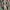 Vans Streetwear Skater Sneakers Pria blue photo 3