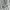 Jorts pants faded camo cargo photo 4