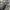 Jorts pants faded camo cargo photo 7