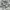 Jorts pants faded camo cargo photo 3