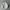 Dazy Quilted Coat Light puffer jacket photo 1