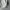Dazy Quilted Coat Light puffer jacket photo 5