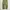 Celana Military Pants Green Army Vintage Loose Fit Japanese photo 4