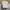 Broke white cotton embroided topn photo 1