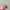 ROMAND Mool Bare Water Tint shde 2 Taffy Float photo 5