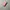 ROMAND Mool Bare Water Tint shde 2 Taffy Float photo 3