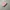 ROMAND Mool Bare Water Tint shde 2 Taffy Float photo 2